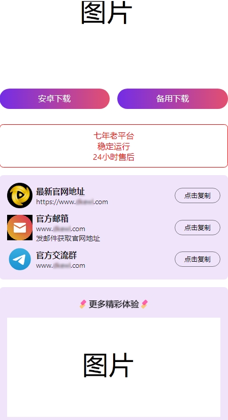 2024首发最火的软件宣传单页源码-1020240909-2